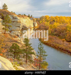 Le scogliere e i colori dell'autunno lungo il fiume a linguetta vicino a Ashland, montana Foto Stock