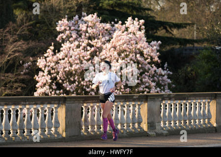 Londra, Regno Unito. 21 mar 2017. Una donna fa avanzare passato fioritura di fiori di ciliegio in Hyde Park durante le giornate di sole di questa mattina. Londra ha visto un soleggiato e caldo per iniziare la giornata di oggi. Credito: London pix/Alamy Live News Foto Stock