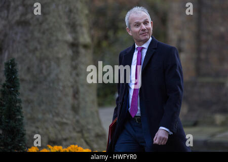 Londra, Regno Unito. Xxi Mar, 2017. David Lidington MP, signore Presidente del Consiglio e il Leader della House of Commons, arriva al 10 di Downing Street per una riunione del gabinetto. Credito: Mark Kerrison/Alamy Live News Foto Stock