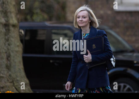 Londra, Regno Unito. Xxi Mar, 2017. Elizabeth Truss MP, Lord Cancelliere e segretario di Stato per la giustizia, arriva al 10 di Downing Street per una riunione del gabinetto. Credito: Mark Kerrison/Alamy Live News Foto Stock