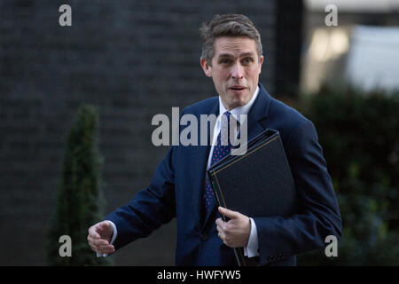 Londra, Regno Unito. Xxi Mar, 2017. Gavin Williamson MP, Chief Whip, arriva al 10 di Downing Street per una riunione del gabinetto. Credito: Mark Kerrison/Alamy Live News Foto Stock