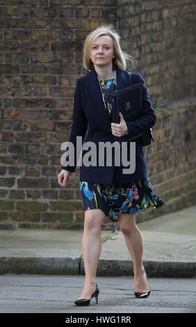 Londra, Regno Unito. Xxi mar, 2017. liz truss Lord Cancelliere e segretario di Stato per la giustizia visto che frequentano il cabinet settimanale incontro a Downing street. Credito: wfpa/alamy live news Foto Stock