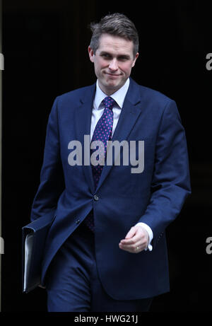 Londra, Regno Unito. Xxi Mar, 2017. Gavin Williamson Chief Whip visto che frequentano il settimanale di riunione di gabinetto di Downing street. Credito: WFPA/Alamy Live News Foto Stock