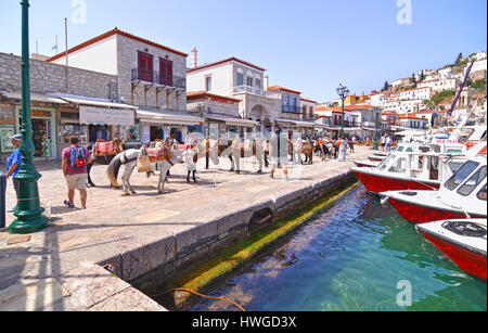 Asini i mezzi di trasporto a Hydra Island Golfo Saronico Grecia Foto Stock