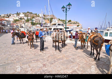 Asini i mezzi di trasporto a Hydra Island Golfo Saronico Grecia Foto Stock