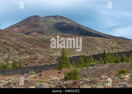 El vulcano Teide, parco nazionale di El Teide, Tenerife, Spagna Foto Stock
