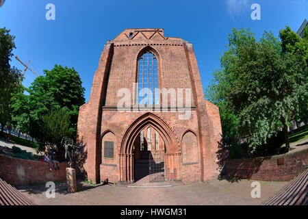 Ruine, Franziskaner-Klosterkirche, Klosterstrasse, nel quartiere Mitte di Berlino, Deutschland Foto Stock