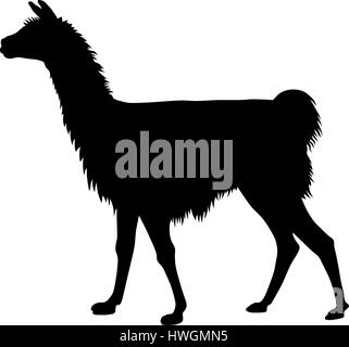 Dettagliata illustrazione vettoriale di llama silhouette Illustrazione Vettoriale