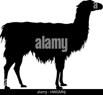 Abstract illustrazione vettoriale di un llama silhouette Illustrazione Vettoriale