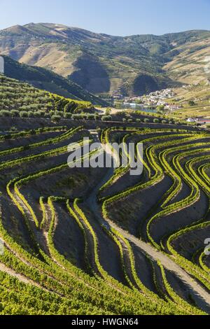 Il Portogallo, superiore alla Valle del Douro e i suoi vigneti sono classificati come patrimonio mondiale dall' UNESCO, vista di Pinhao e Douro Foto Stock