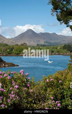 Irlanda, Cork County, Glengarriff, Bantry Bay, Isola di Garinish, Ilnacullin Garinish, barca a vela nella Baia, Caha montagne sullo sfondo Foto Stock