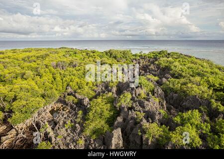 Filippine, Mindoro, Apo Reef parco naturale, vegetazione e calcare di Apo isola dalla parte superiore del faro Foto Stock