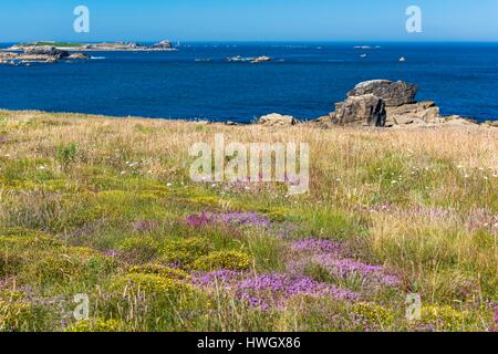 Francia, Finisterre, Iroise mare, Legendes Costa, Landunvez Foto Stock