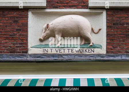 Paesi Bassi, Amsterdam, il quartiere Jordaan, macelleria, bianco rilievo di maiale Foto Stock