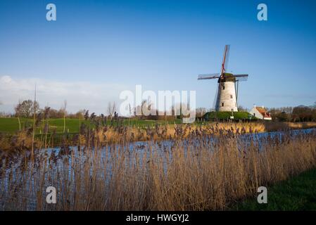 Belgio, Bruges-zona, Damme, vecchio mulino a vento Foto Stock