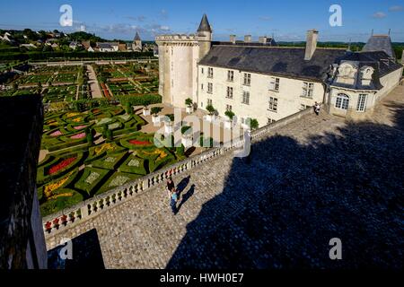 Francia, Indre et Loire, la Valle della Loira sono classificati come patrimonio mondiale dall'UNESCO, il castello e i giardini di Villandry, costruito nel XVI secolo in stile rinascimentale (proprietà di Angelique e Henri Carvalho) Foto Stock