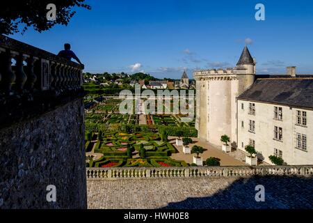 Francia, Indre et Loire, la Valle della Loira sono classificati come patrimonio mondiale dall'UNESCO, il castello e i giardini di Villandry, costruito nel XVI secolo in stile rinascimentale (proprietà di Angelique e Henri Carvalho) Foto Stock