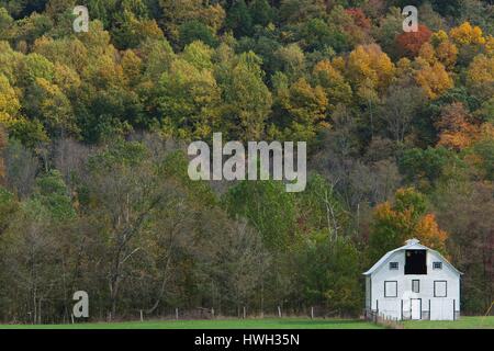 Stati Uniti, West Virginia, Seneca rocce, granaio e fogliame di autunno Foto Stock
