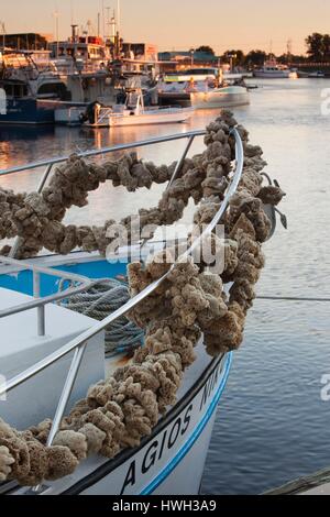 Stati Uniti, Florida, Tarpon Springs, greco-immigrati si stabilirono la pesca delle spugne town, spugne naturali sulla spugna-barca diving Foto Stock