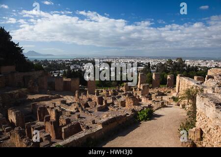 La Tunisia, Tunisi, Cartagine Byrsa Hill, di epoca romana rovine Foto Stock