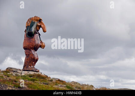 Troll norvegese dal nord Hardangervidda, Buskerud county. Foto Stock