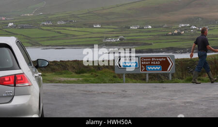 Incrocio stradale, contadino in wellingtons guida mucche oltre Wild Atlantic Way indicazioni stradali sulla strada costiera su Valentia Island, County Kerry, Irlanda Foto Stock