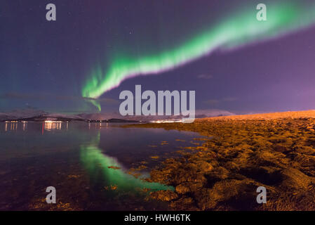 A nord di curve di luce di riflessione, Norvegia, Troms, Troms?, Kval ? ?Ya, Kval?ya, Sandnessund, nord luce, luce polare, Aurora Boreale, curva, riflessione, co Foto Stock