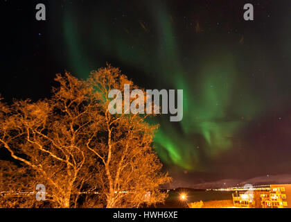 Luce del Nord circa di Troms?, Norvegia, Troms, Troms?, Troms?, Kval?ya, Kval ? ?Ya, nord luce, luce polare, Aurora Boreale, case, alberi, Norvegia, Troms, Foto Stock