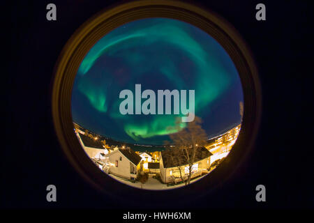 Luce del Nord con obiettivo fisheye, Norvegia, Troms, Troms?, Troms?, Kval?ya, Kval ? ?Ya, nord luce, luce polare, Aurora Boreale, case, piante, tre Foto Stock