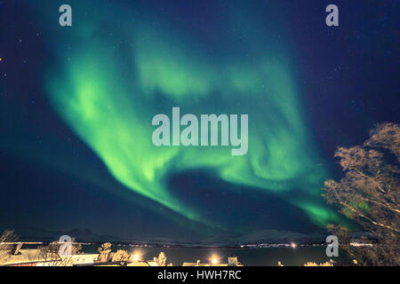 "Luce del Nord circa Orion, Norvegia; Troms; Troms?; Troms?; Kval ? ?Ya; Kval?ya; Sandnessund; montagne; luce del nord; luce polare; Aurora boreale; house Foto Stock