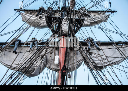 Gli equipaggi di Lady Washington Sailing Vessel appeso sulle vele Foto Stock