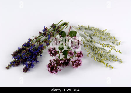 Origano, Artemisia, issopo, origano vulgare, Artemisia vulgaris, Hyssopus officinalis, possiedi, Ysop, sagebrush, Origanum vulgare, Artemisia vulgaris, Hys Foto Stock