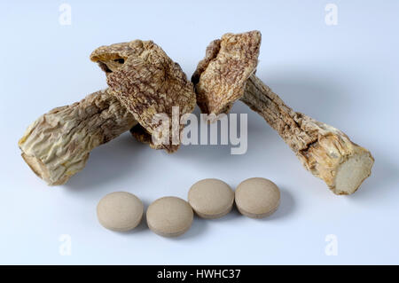 Hime-matsutake, secco e pillole, Agaricus blazei Murrill, mandorla, funghi secchi e compresse, Agaricus blazei Murrill funghi alimentari, correttive funghi, Foto Stock