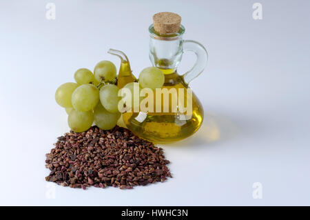 Comune di uva, uva da vino semi, Vitis vinifera, la vite, la vera vite, seme, core, Vitis vinifera nuclei di frutta, fornitori dell'olio, vino semi, grappolo di uva c Foto Stock