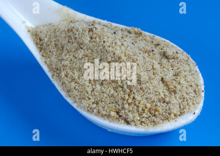 "Chufa carici, giallo Nutsedge, Tiger's groove carici, Earthalmond, frantumato, Cyperus esculentus, mandorle di terra, terra noduli root, Cyperus esculentus , Foto Stock