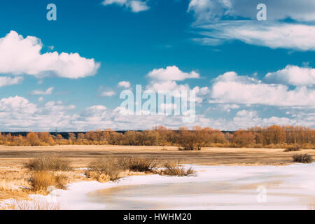 Paesaggio con lago ghiacciato di stagno o un fiume nel tardo inverno o all'inizio stagione primaverile. La natura della Bielorussia nella giornata di sole. Foto Stock