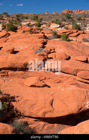 Vista dalla valle di sale si affacciano, Arches National Park, Utah Foto Stock