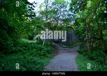 Zona boscosa con Dunstaffnage rovine del castello. Foto Stock