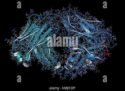 Dabigatran antidoto legato alle proteine di dabigatran. Struttura di un anticorpo-frammento Fab) che lega la sostanza anticoagulante dabigatran, neutralizzare la sua FEP Foto Stock