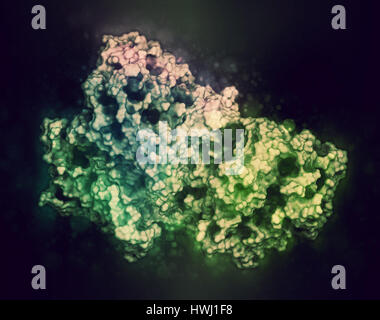 Gamma secretasi complesso proteico. Multi-intramembrane subunità di proteasi che svolge ruolo nella trasformazione delle proteine come proteina precursore amiloide e Foto Stock
