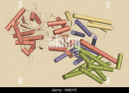 Gamma secretasi complesso proteico. Multi-intramembrane subunità di proteasi che svolge ruolo nella trasformazione delle proteine come proteina precursore amiloide e Foto Stock