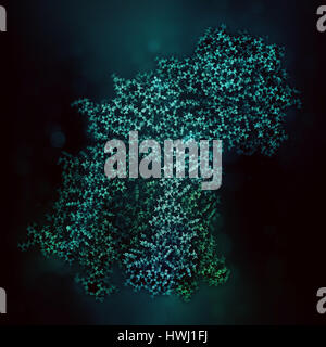 Gamma secretasi complesso proteico. Multi-intramembrane subunità di proteasi che svolge ruolo nella trasformazione delle proteine come proteina precursore amiloide e Foto Stock