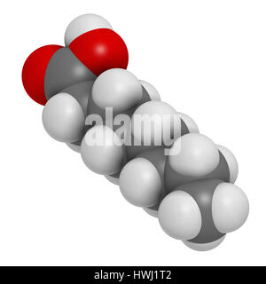 Caprilico (ottanoico acido). Di acidi grassi a media catena, utilizzato come agente antimicrobico, integratore alimentare e prodotto chimico intermedio. Gli atomi sono rappresentati come sp Foto Stock