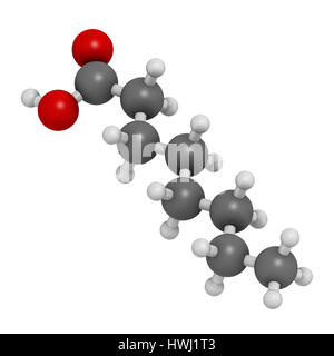 Caprilico (ottanoico acido). Di acidi grassi a media catena, utilizzato come agente antimicrobico, integratore alimentare e prodotto chimico intermedio. Gli atomi sono rappresentati come sp Foto Stock