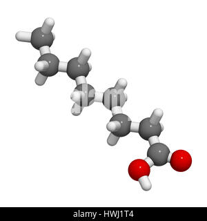 Caprilico (ottanoico acido). Di acidi grassi a media catena, utilizzato come agente antimicrobico, integratore alimentare e prodotto chimico intermedio. Gli atomi sono rappresentati come sp Foto Stock