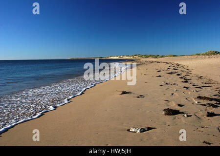 Sandy Endless Beach con mare calmo e Blue Sky nell'Australia Occidentale Foto Stock