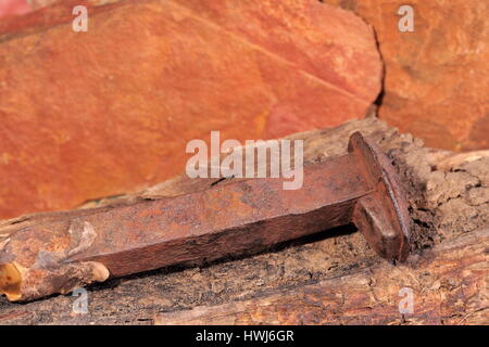 Chiodo arrugginito della linea ferroviaria originale Ghan su un pezzo di legno marcio vicino ad Alice Springs, Australia 2015 Foto Stock