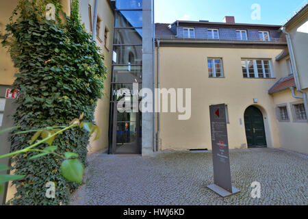 Lutherhaus, Augusteum, Collegienstrasse, Lutherstadt Wittenberg, Sachsen-Anhalt, Deutschland Foto Stock