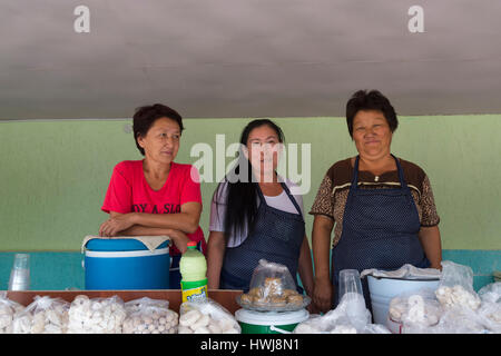 Il gruppo di donne kazake dietro di loro stallo del formaggio di capra e kumis, Altyn Emel National Park, Provincia di Almaty, in Kazakistan e in Asia centrale, per il solo uso editoriale Foto Stock