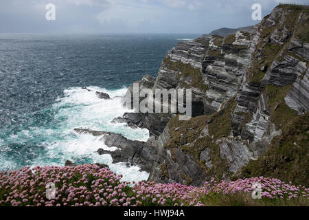 Le scogliere di Kerry, Portmagee, Skellig Ring, Irlanda Foto Stock